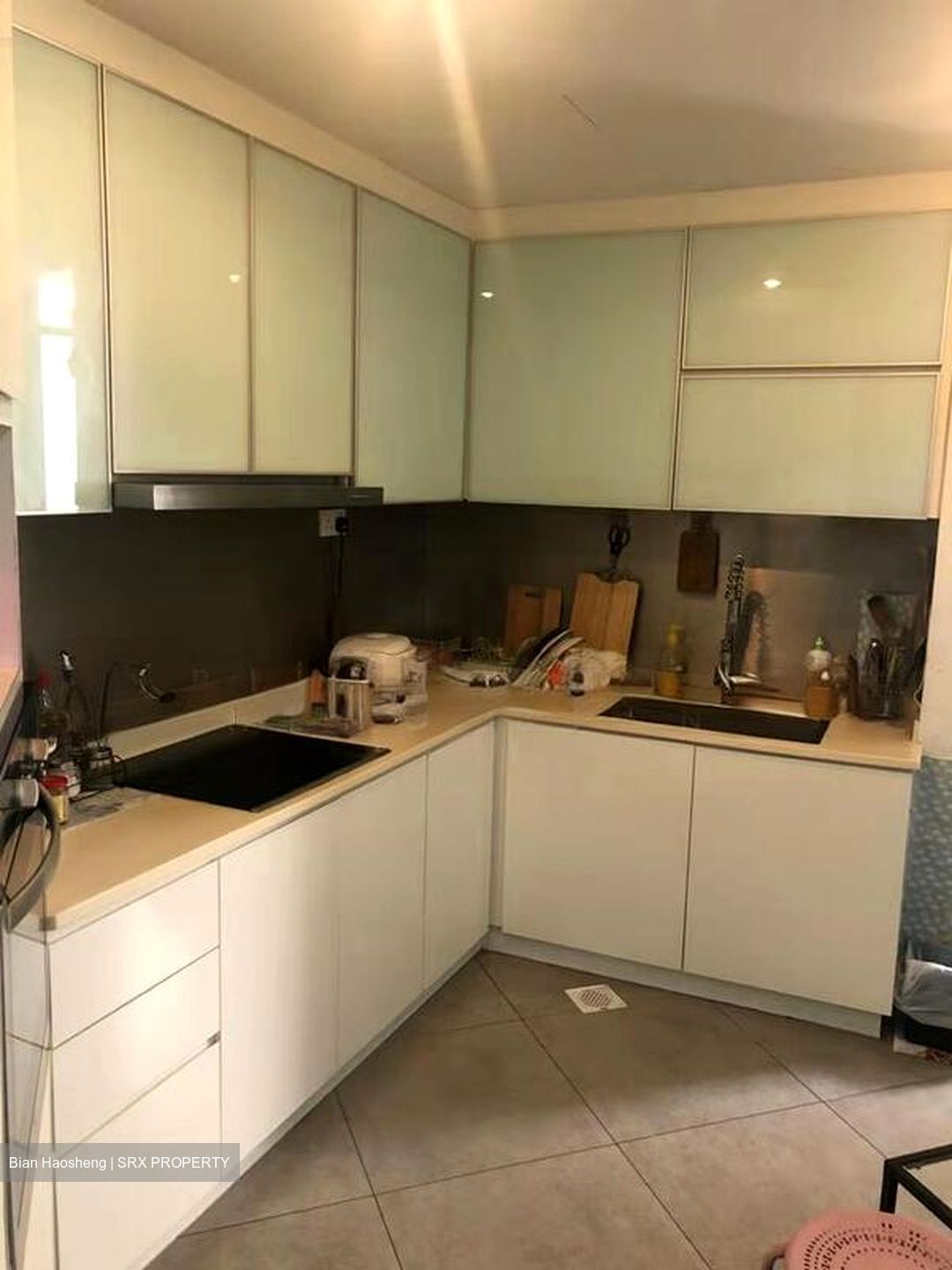 Regent Park (D5), Condominium #523805681